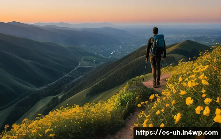 과거 자아 화해의 중요성과 이점 관련 이미지 2